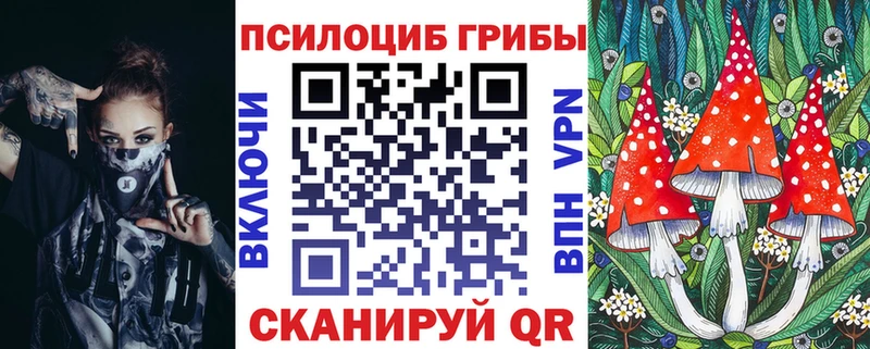 площадка Telegram  Калач  Псилоцибиновые грибы GOLDEN TEACHER 